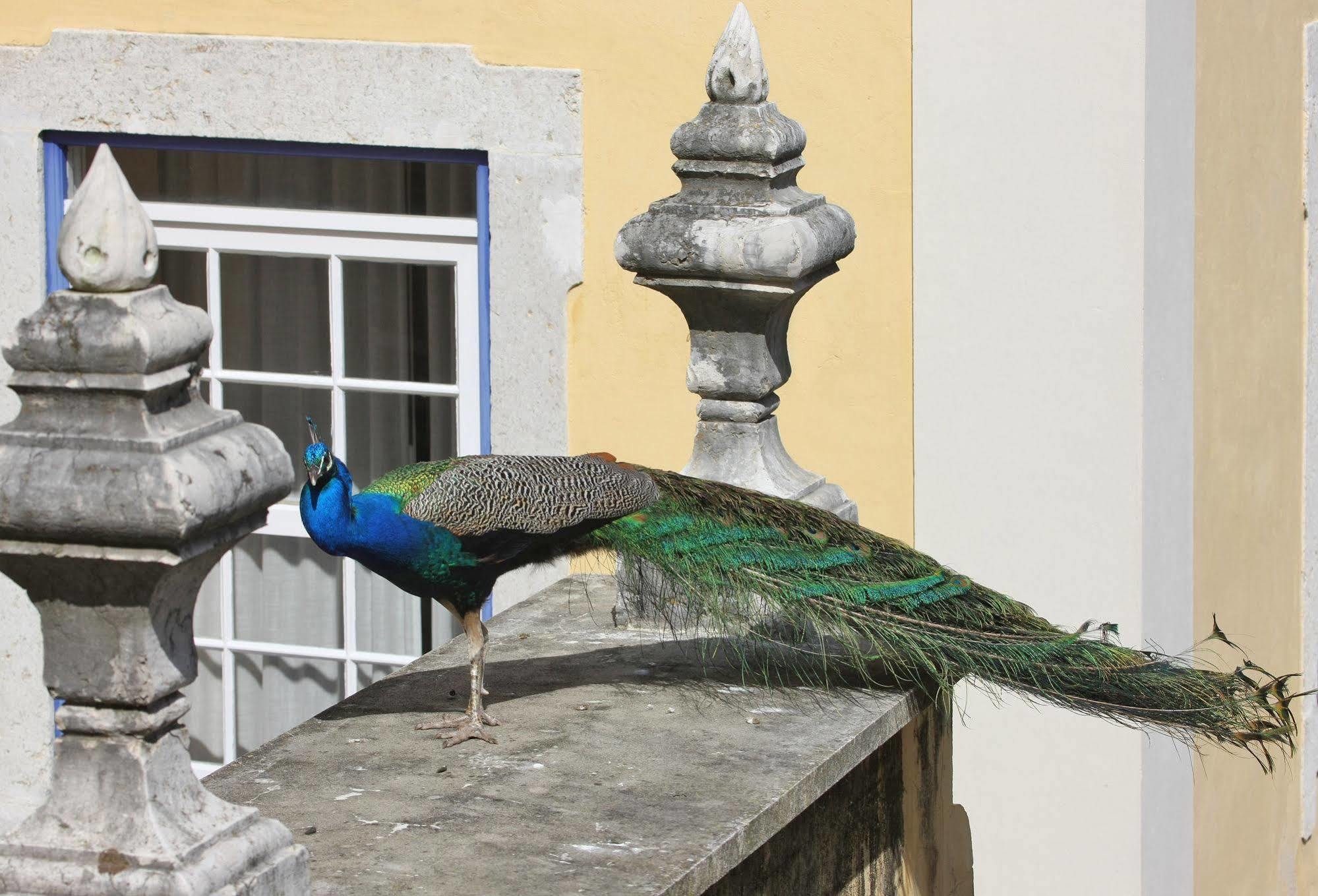 Solar Do Castelo - Lisbon Heritage Collection - Alfama Exterior photo